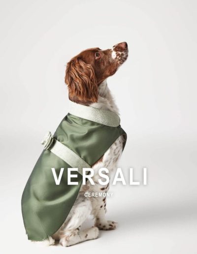 zampini vestiti eleganti pet